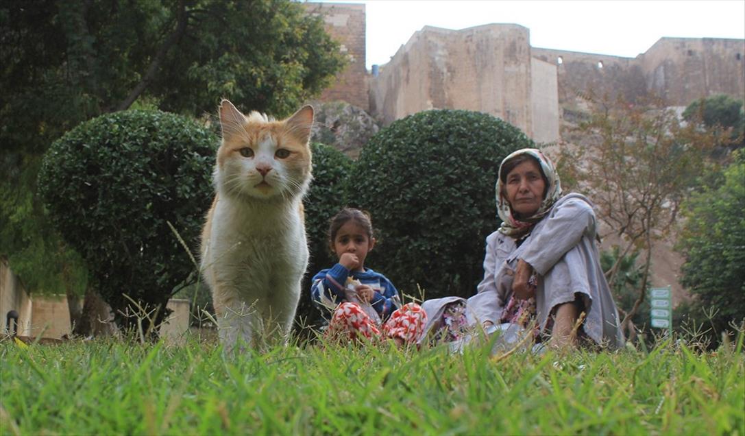 Yurtta kış Şanlıurfa'da sonbahar