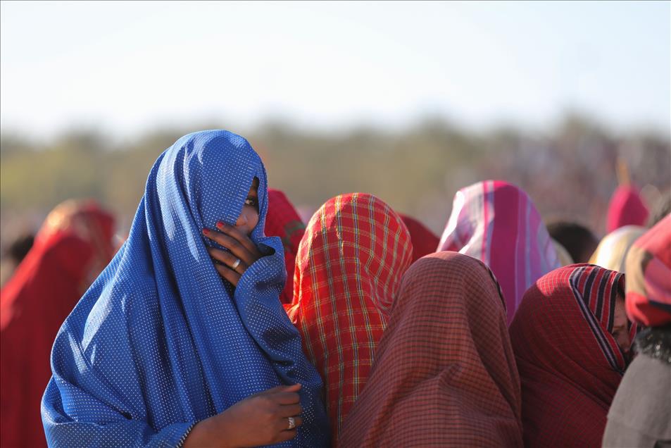 International Festival of the Sahara continues in Douz