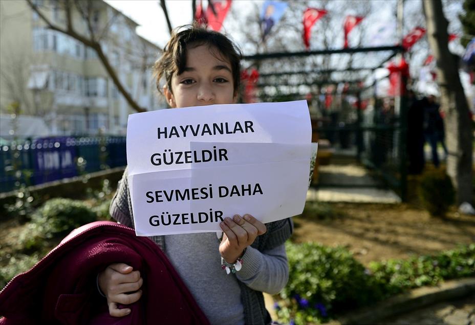 Bakırköy'e kedi parkı