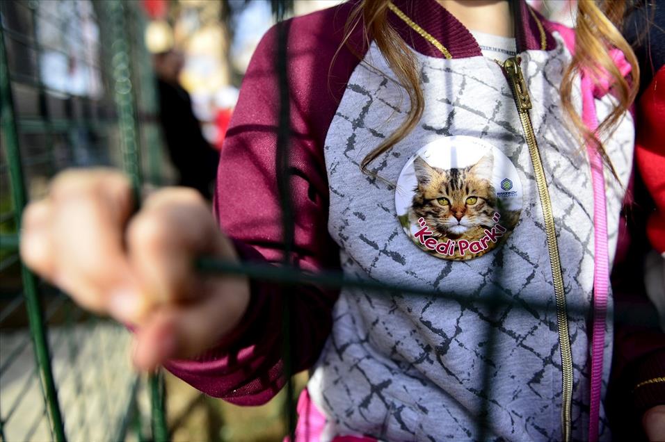 Bakırköy'e kedi parkı