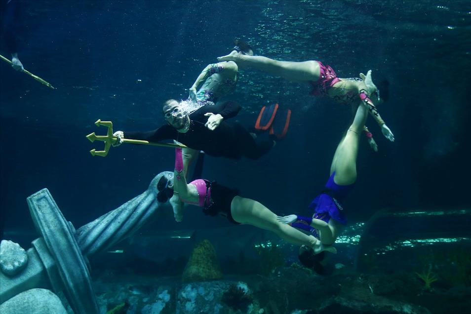 İstanbul Sea Life Akvaryumu açıldı