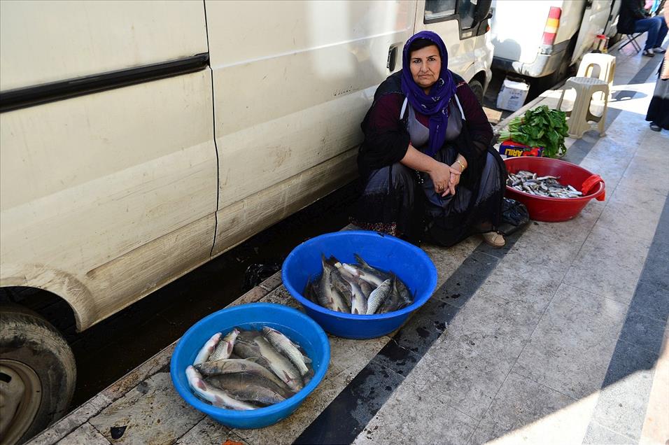 Cizre'deki olaylar, ticaret ve sosyal yaşamı etkiledi