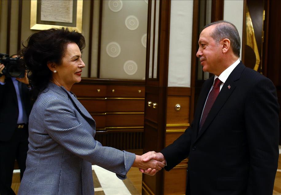 Cumhurbaşkanı Erdoğan'ın kabulü