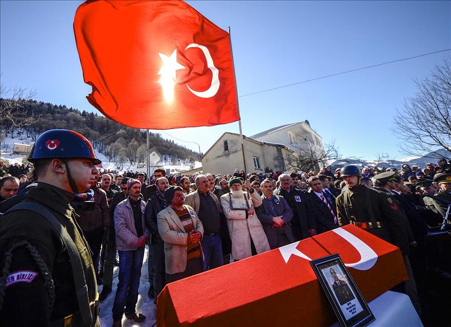 Şah Fırat Operasyonu