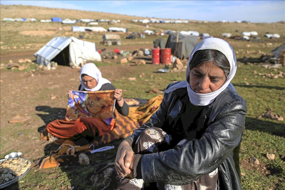 Ezidis fled from ISIL attacks shelter in Sinjar Mountain