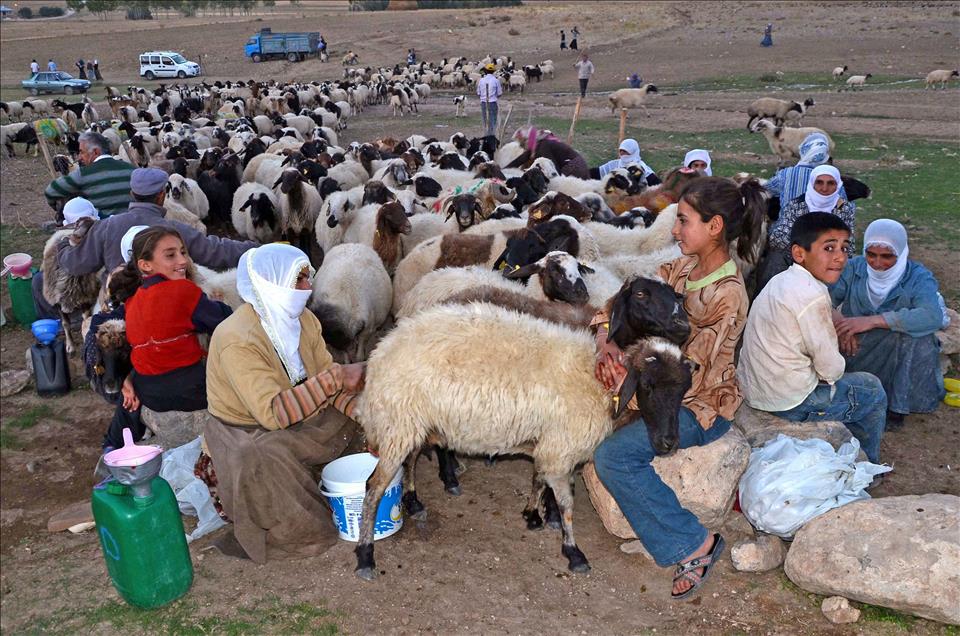 Doğu ve Güneydoğu'nun zor zanaatı kadın olmak