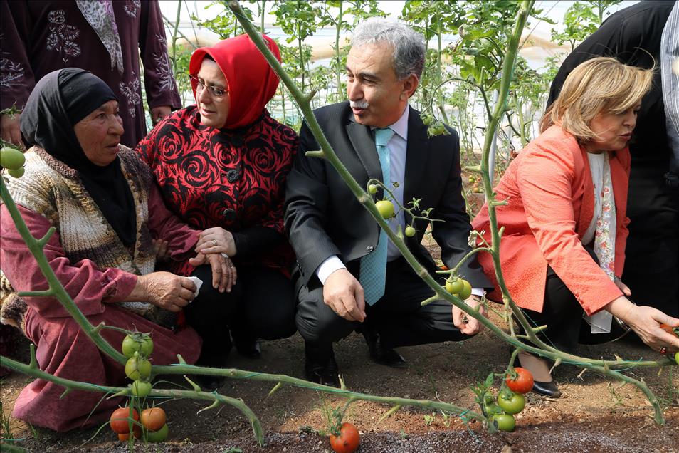 8 Mart Dünya Kadınlar Günü