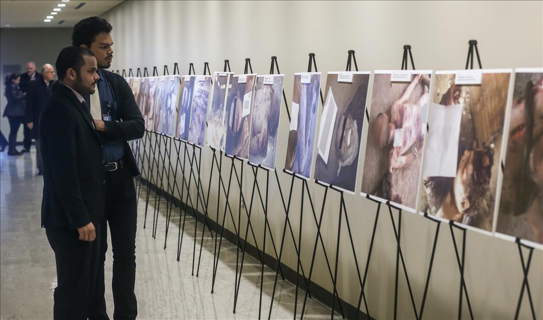 UN Syria Exhibition - Graphic torture images on display in New York