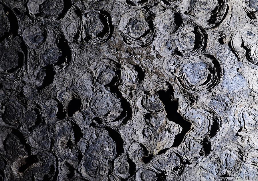 Güney Afrika'nın doğa harikası Mpumalanga