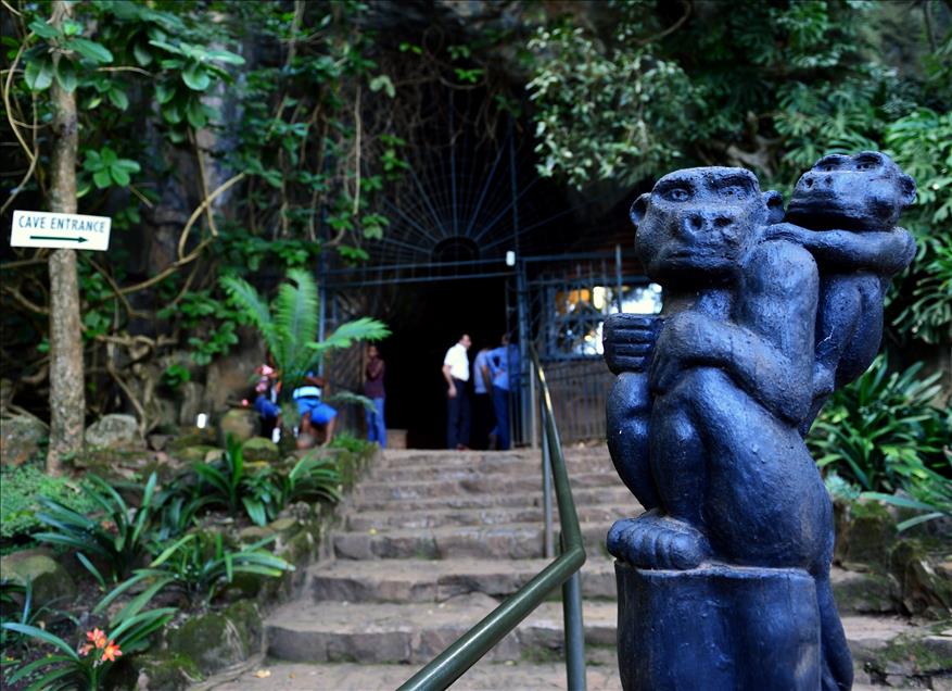 Güney Afrika'nın doğa harikası Mpumalanga