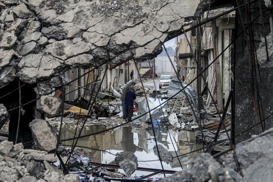 Kobani'de hayat normale dönüyor