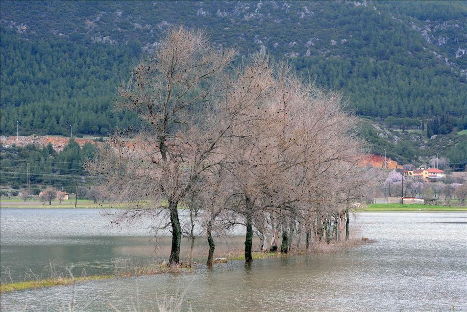 Muğla'da sağanak etkili oluyor