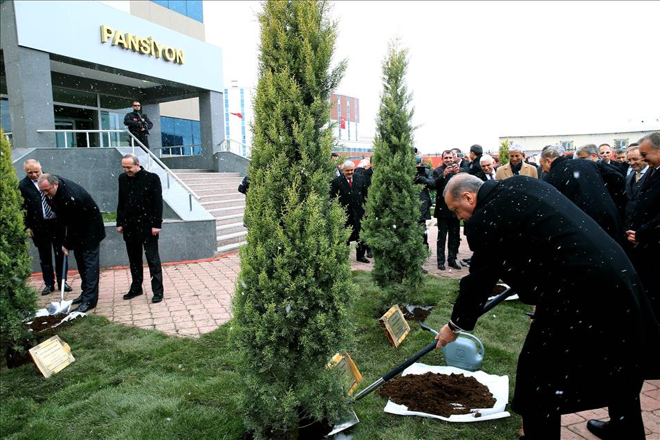 Recep Tayyip Erdoğan - Giorgi Margvelaşvili