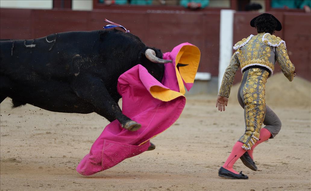 Bullfight in Madrid