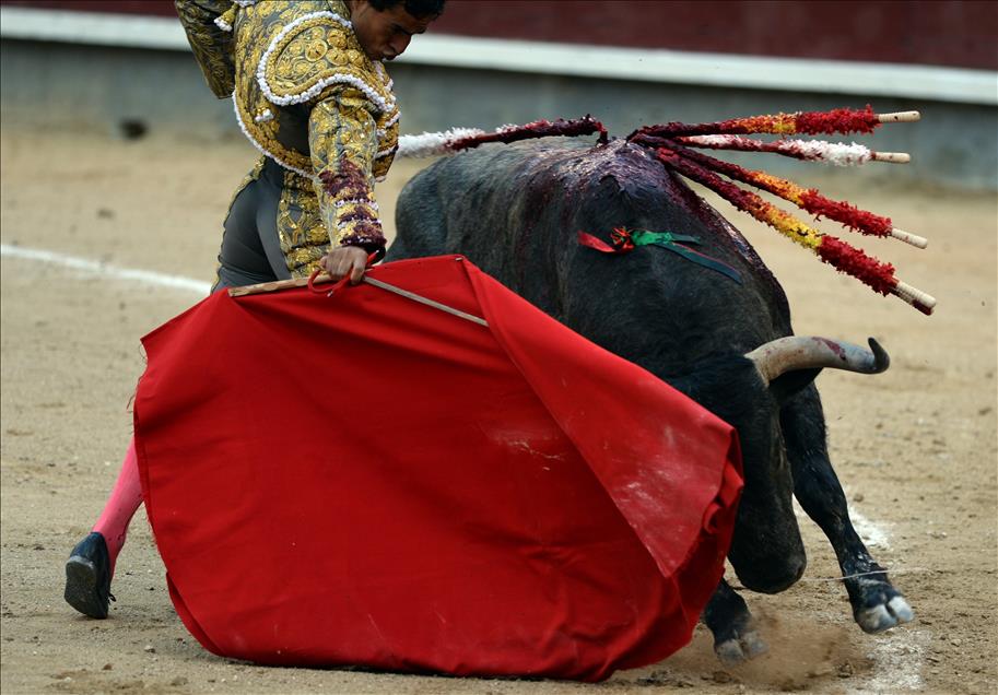 Bullfight in Madrid
