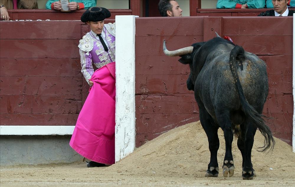Bullfight in Madrid
