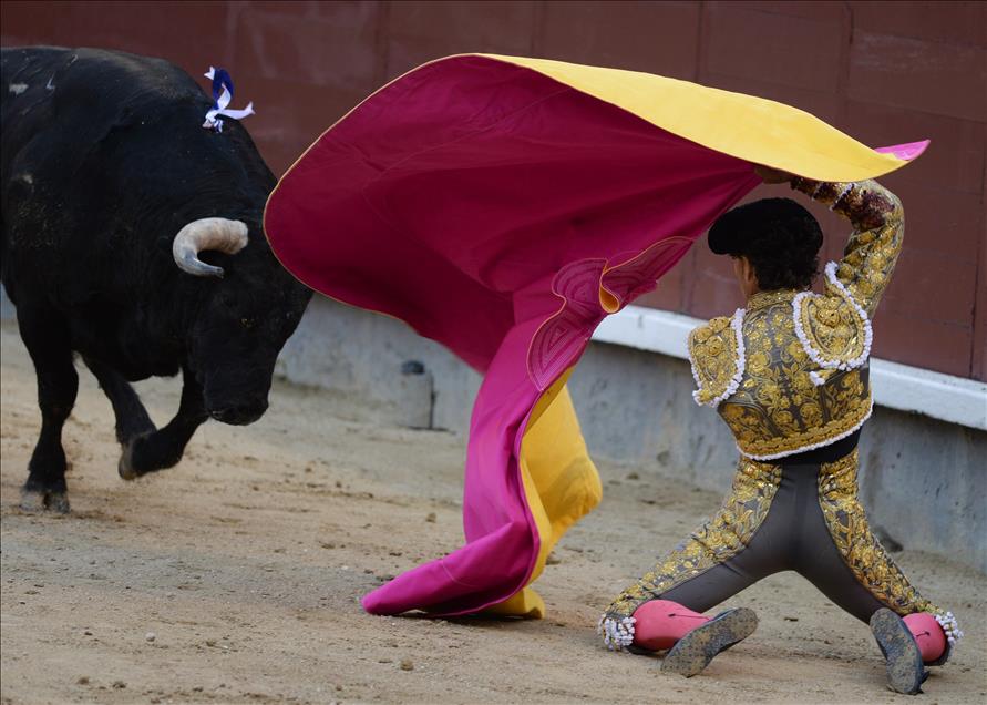 Bullfight in Madrid