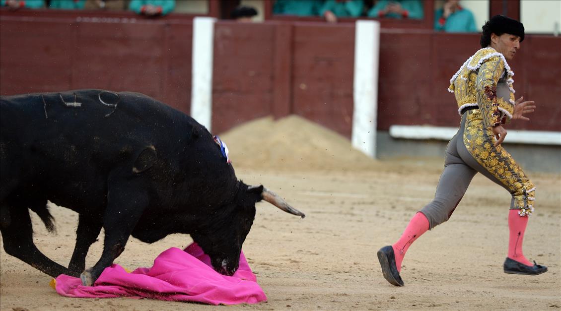 Bullfight in Madrid