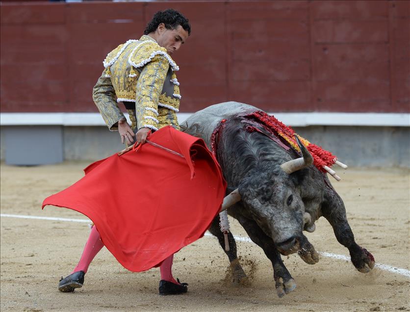 Bullfight in Madrid
