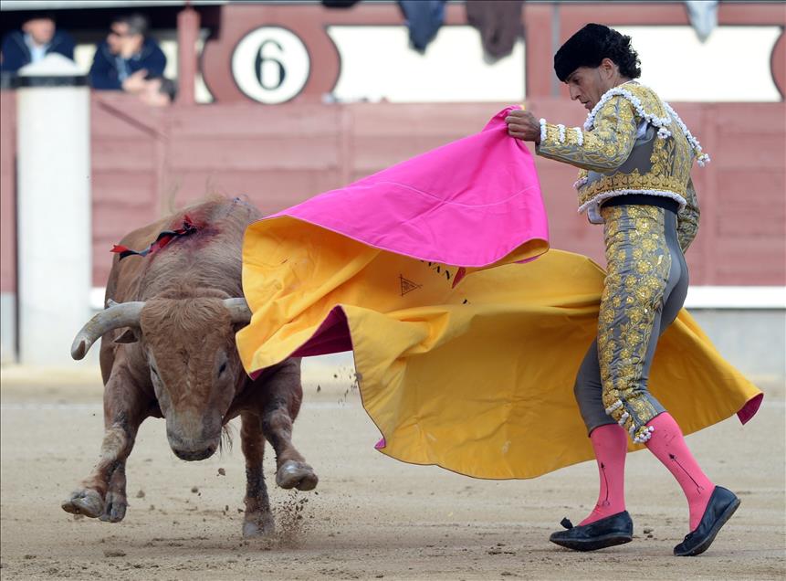 Bullfight in Madrid