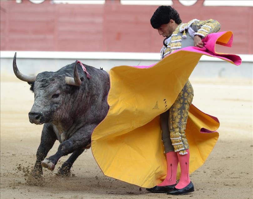Bullfight in Madrid
