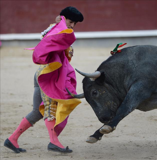 Bullfight in Madrid