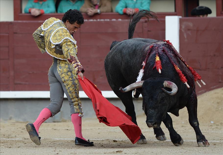 Bullfight in Madrid