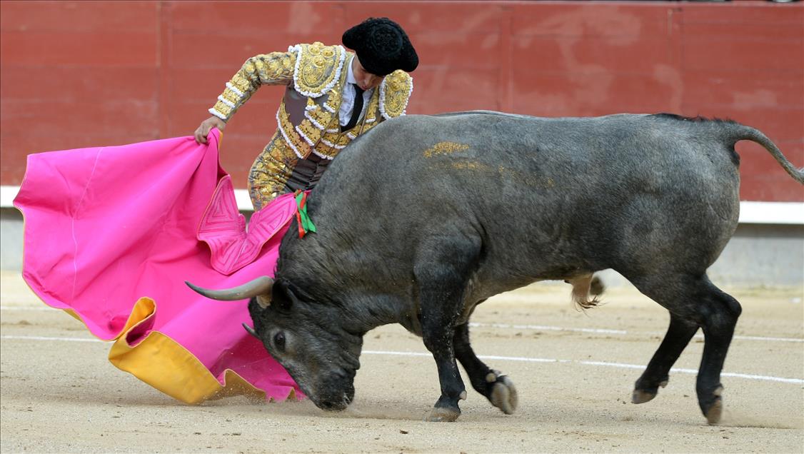 Bullfight in Madrid