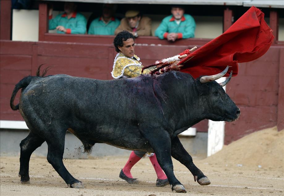 Bullfight in Madrid