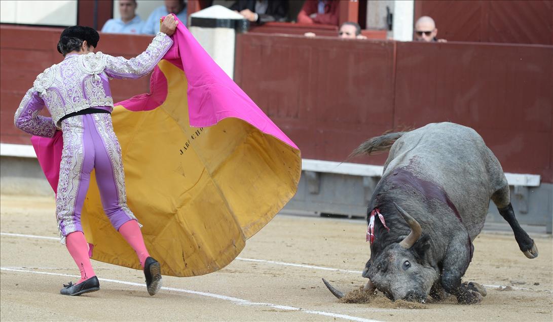 Bullfight in Madrid