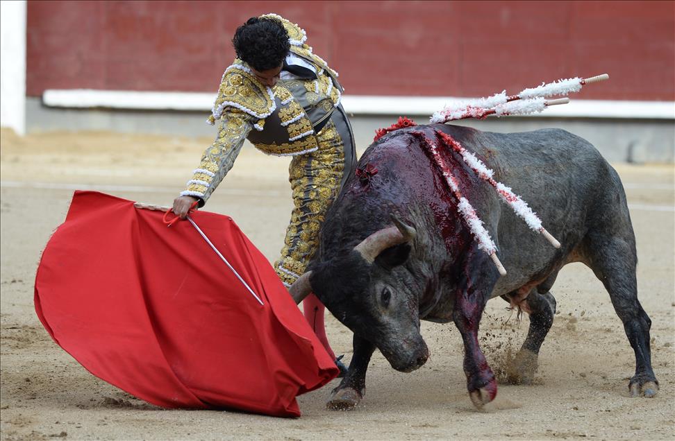 Bullfight in Madrid