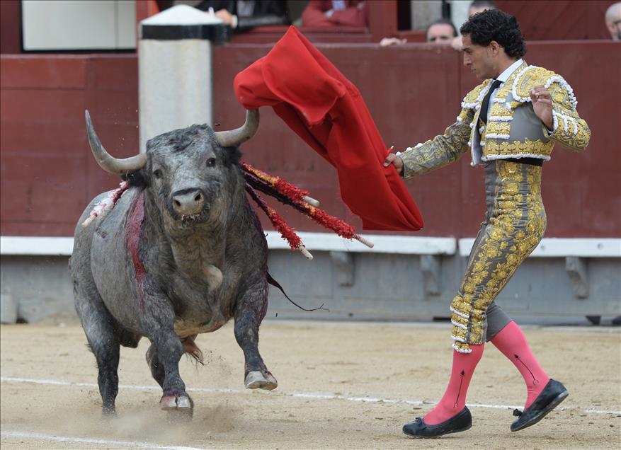 Bullfight in Madrid