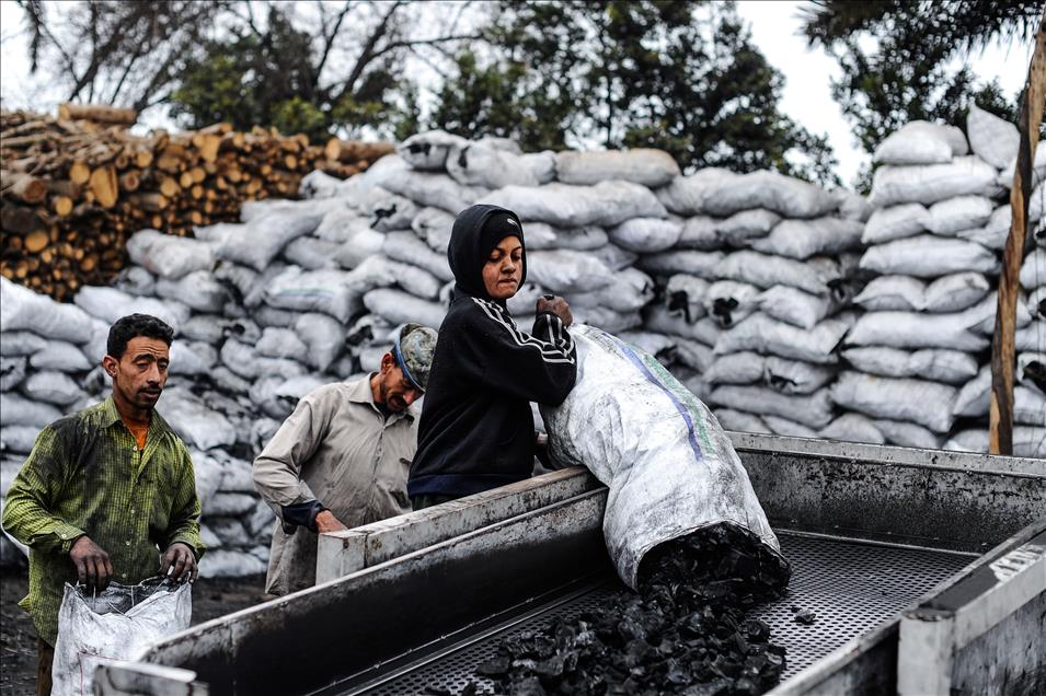 Mısır'da kömür imalatı