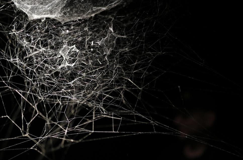 New York'ta 'örümcek ağı' sergisi