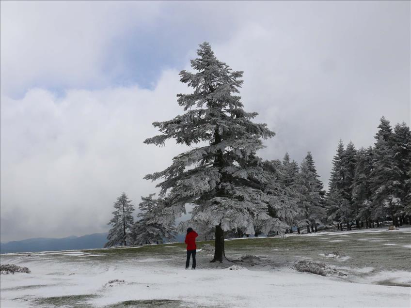 Bolu'da kar yağışı