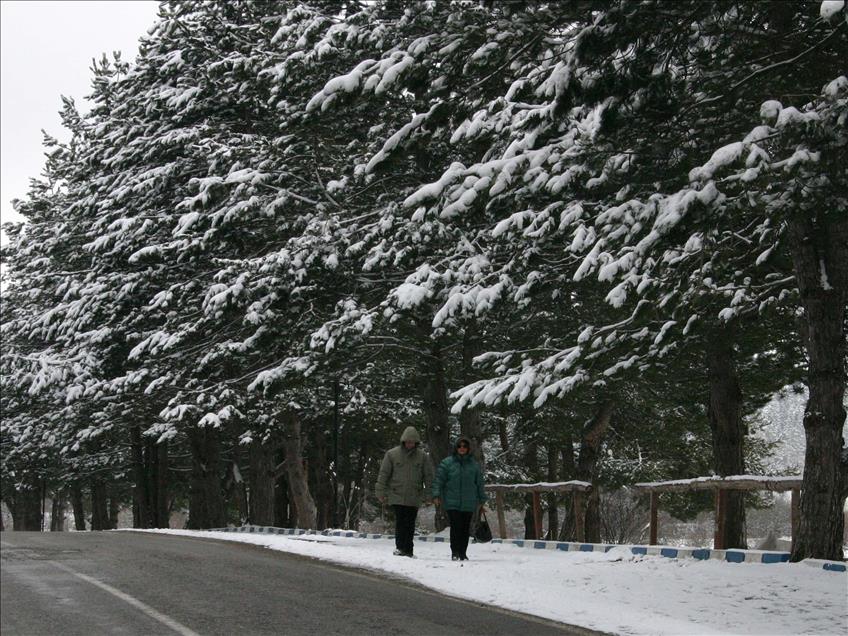 Bolu'da kar yağışı
