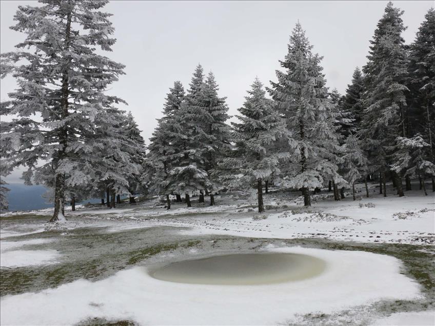 Bolu'da kar yağışı