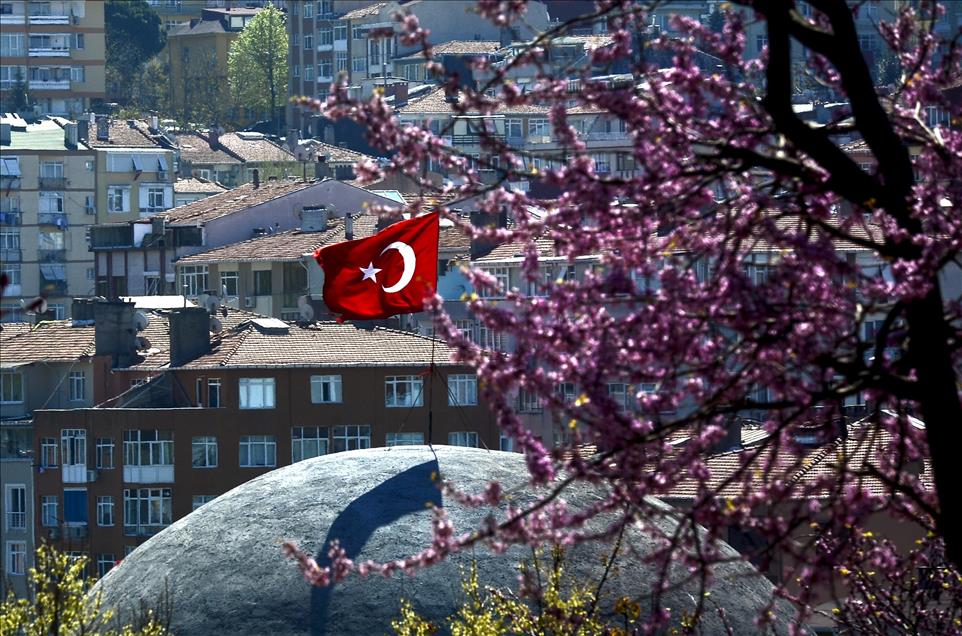 İstanbul'da Erguvan vakti