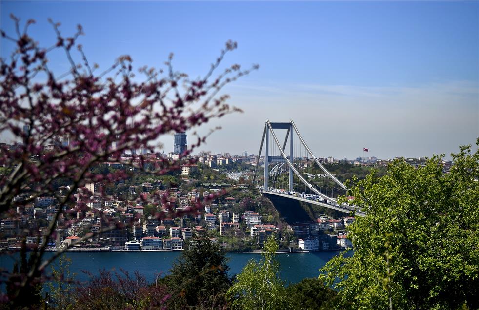 İstanbul'da Erguvan vakti