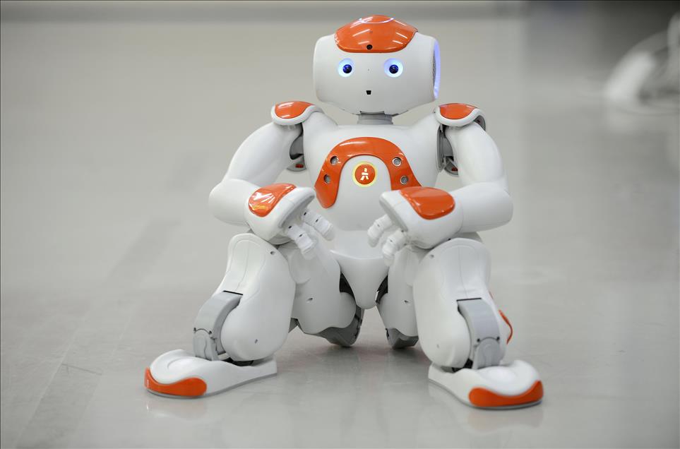 Çocuk robot "iCub"a kardeş geldi