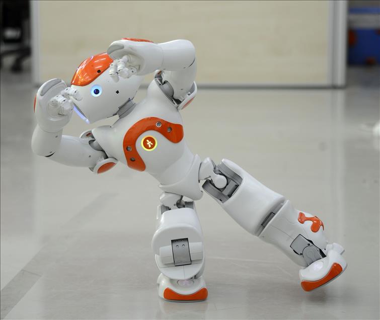 Çocuk robot "iCub"a kardeş geldi