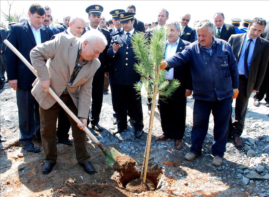 Sinema sanatçısı Zeki Alasya vefat etti