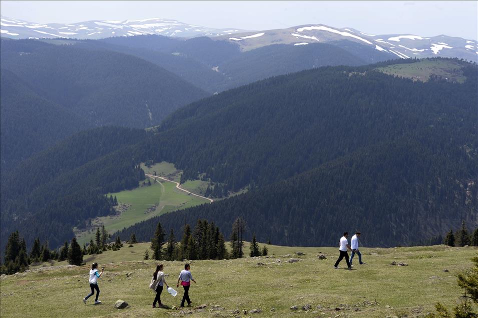Doğu Karadeniz yaylaları renkleniyor