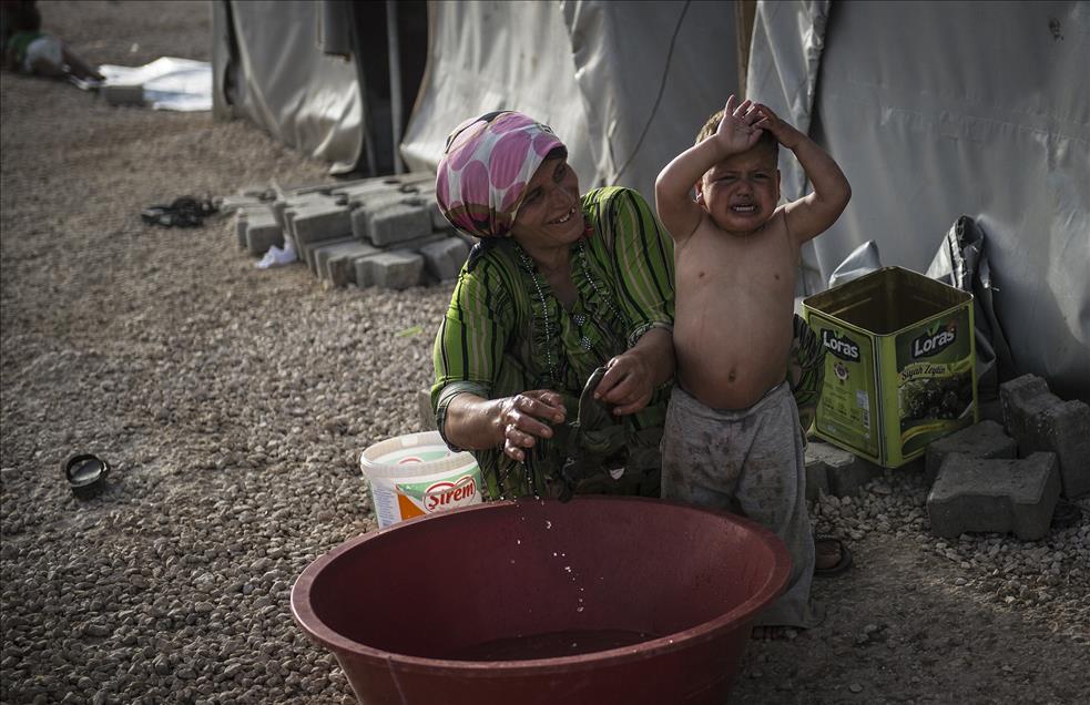 Suruç'taki Suriyeli mültecilerin yaşamı