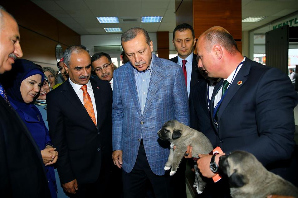 Cumhurbaşkanı Erdoğan Sivas'ta