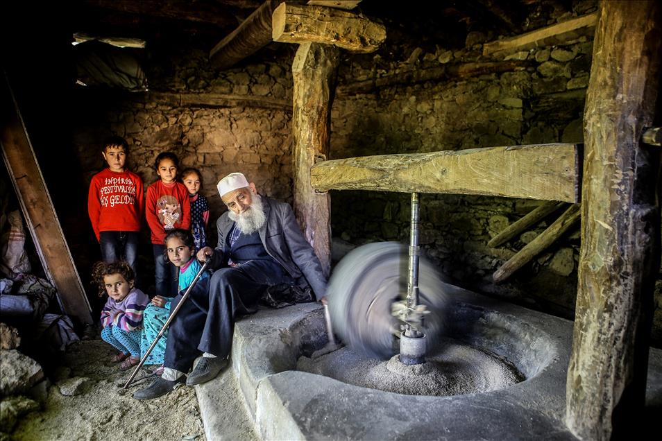 Hizan'ın "çeltik tarlaları"