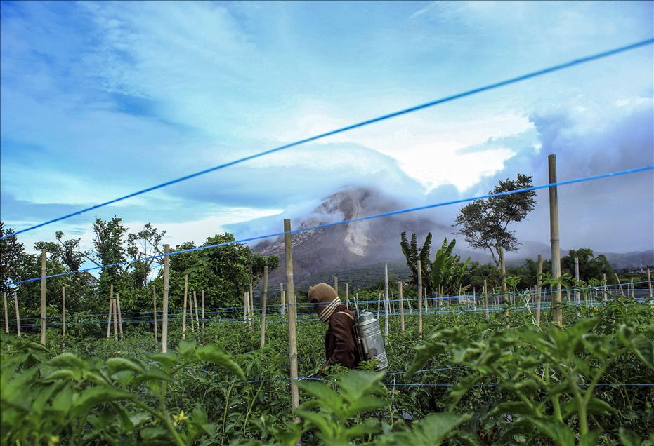 Mount Sinabung Eruption in Indonesia