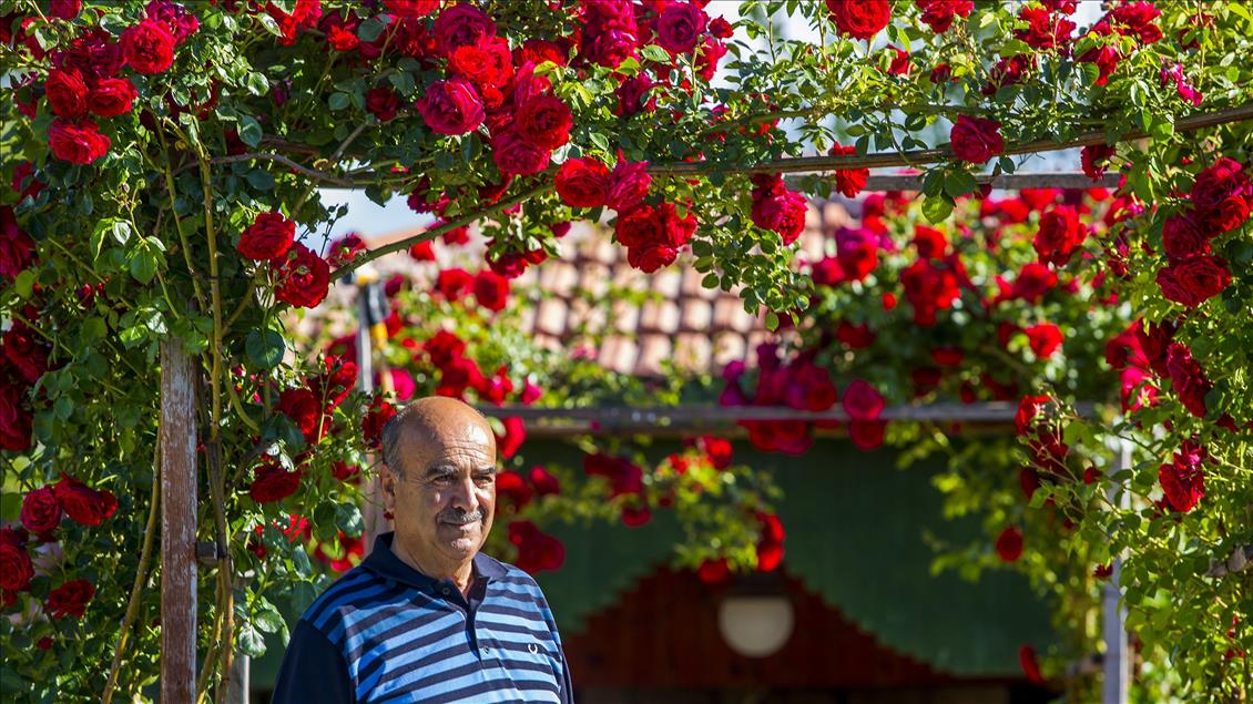 Çölleşmeyle anılan Karapınar'da adeta "vaha" oluşturdu