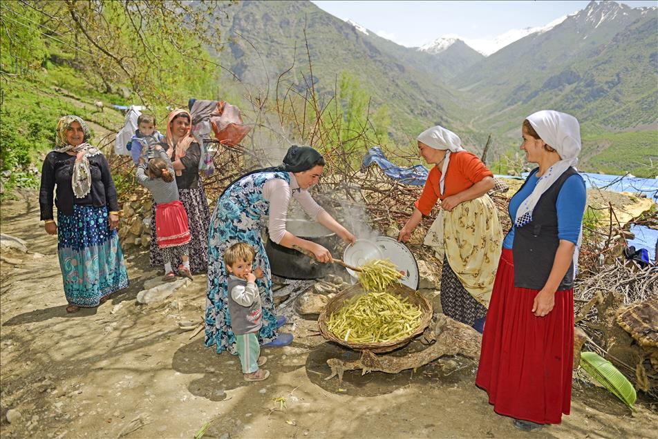Van kahvaltısının baş tacı "otlu peynirin" zorlu hikayesi