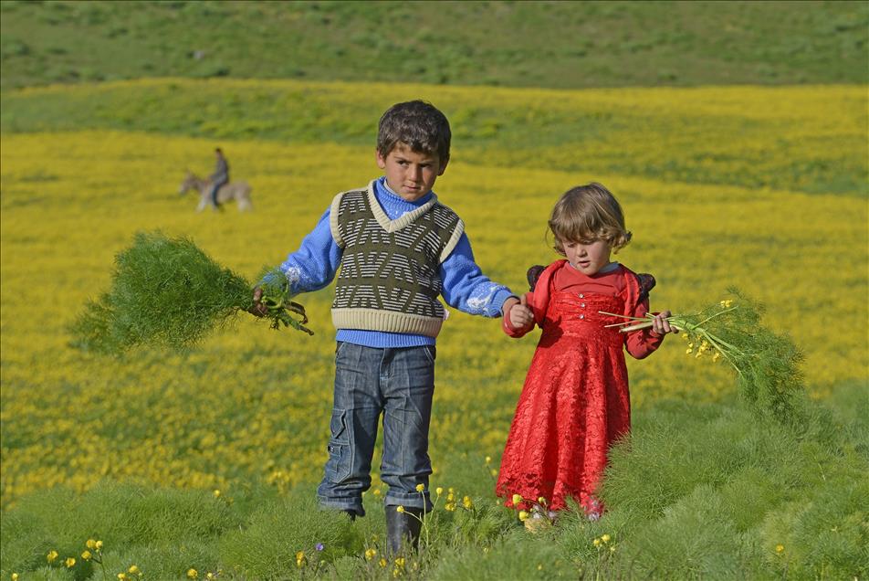 Van kahvaltısının baş tacı "otlu peynirin" zorlu hikayesi